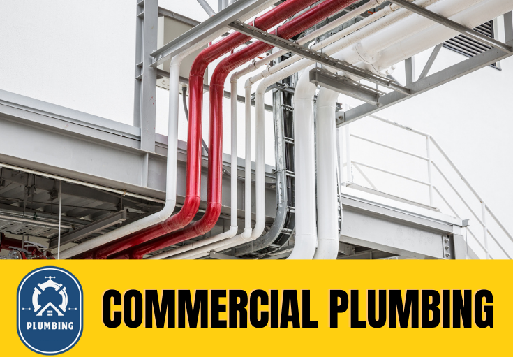 commercial plumbing Hoo