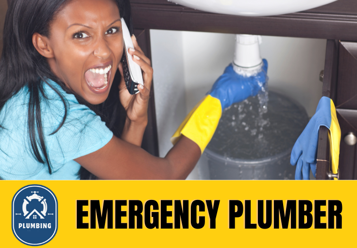 emergency plumber Hoo